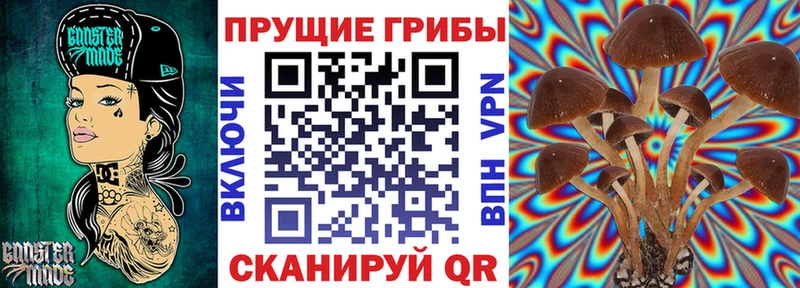 Псилоцибиновые грибы мухоморы  Купить где  Бежецк 