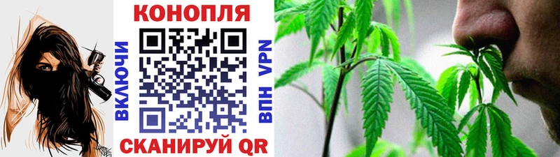 Купить  Бежецк  Конопля план 